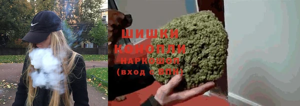ГАЛЛЮЦИНОГЕННЫЕ ГРИБЫ Белокуриха