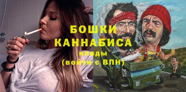 ГАЛЛЮЦИНОГЕННЫЕ ГРИБЫ Белокуриха